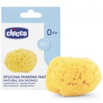 Spugna Chicco Marina Media
