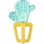 Massaggiagengive Refrigerante Chicco Refreshing Cactus