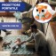 Proiettore Chicco Foxy La Volpe