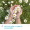 Acqua Spray Chicco Baby Moments Sun