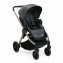 Passeggino Chicco Best Friend Pro City Map Re_Lux