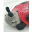 Proiettore Cloud B Twilight Ladybug Red