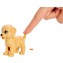 Bambola Barbie Dogsitter con 4 Cagnolini