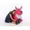 Cane Gonfiabile Ludi Mon Chien Sauteur Rosa