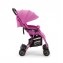Passeggino Pali Tre.9 Viola Bacca