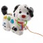 Gioco VTech Baby Macchia 1,2,3 Canta E Cammina Con Me!