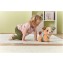 Vtech Milo scodinzolo e cammino 9-36 m