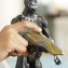 Personaggio Hasbro Marvel Black Panther Titan Hero Series