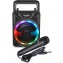 Bontempi Mini Speaker Wireless con Microfono e Luci