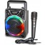 Bontempi Mini Speaker Wireless con Microfono e Luci