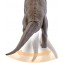 Dinosauro Mattel Jurassic World Brachiosauro 