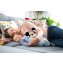 Clementoni Baby Minnie Peluche Riproduce Rumori Bianchi e Battito del Cuore con Cromoterapia