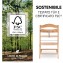 Hauck Seggiolone in Legno Beta+ Naturale