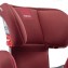 Seggiolino Auto Inglesina Galileo I-Fix Red
