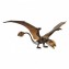Dinosauro Mattel Jurassic World Wild Pack Dimorphodon