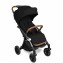 Passeggino Pali Wizard Chrome Frame