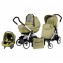 Trio Peg Perego Book Completo Green Tea